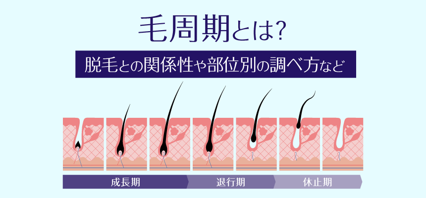 【抜毛】また生える毛と生えなくなった毛、何が起きてるんだろ ？抜くデメリットも解説! - YouTube