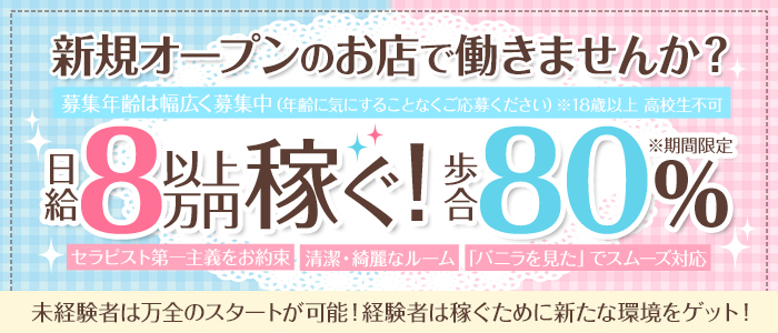 蒲田 [大田区]デリヘルドライバー求人・風俗送迎 |