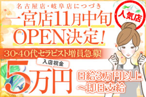 12月最新】羽島郡岐南町（岐阜県） メンズエステ エステの求人・転職・募集│リジョブ