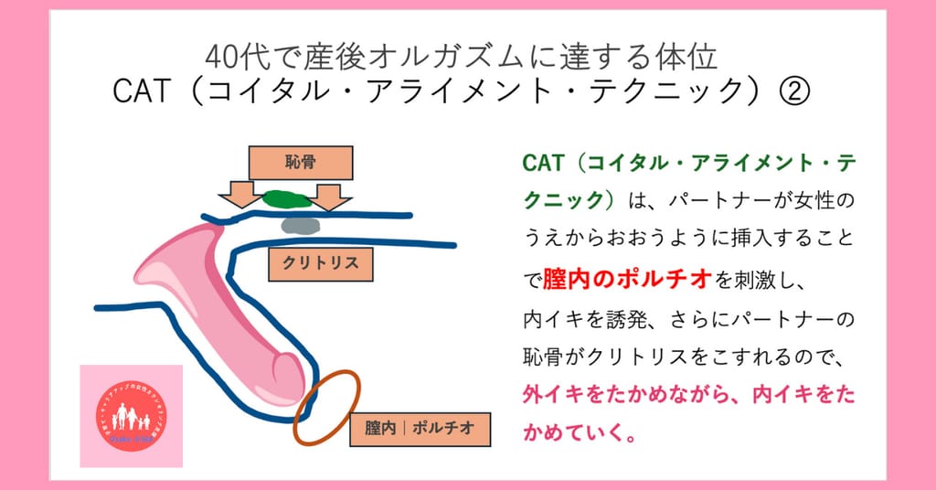 ポルチオとは？位置や開発方法、ポルチオセックスのやり方- 夜の保健室