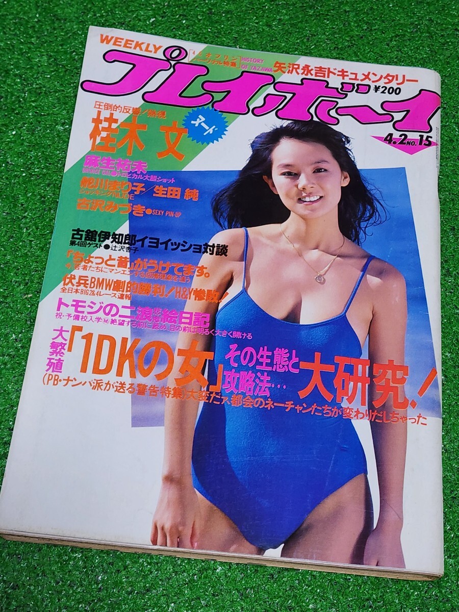 高品質ラミネート処理][ 玉田志織 ] プレイボーイ