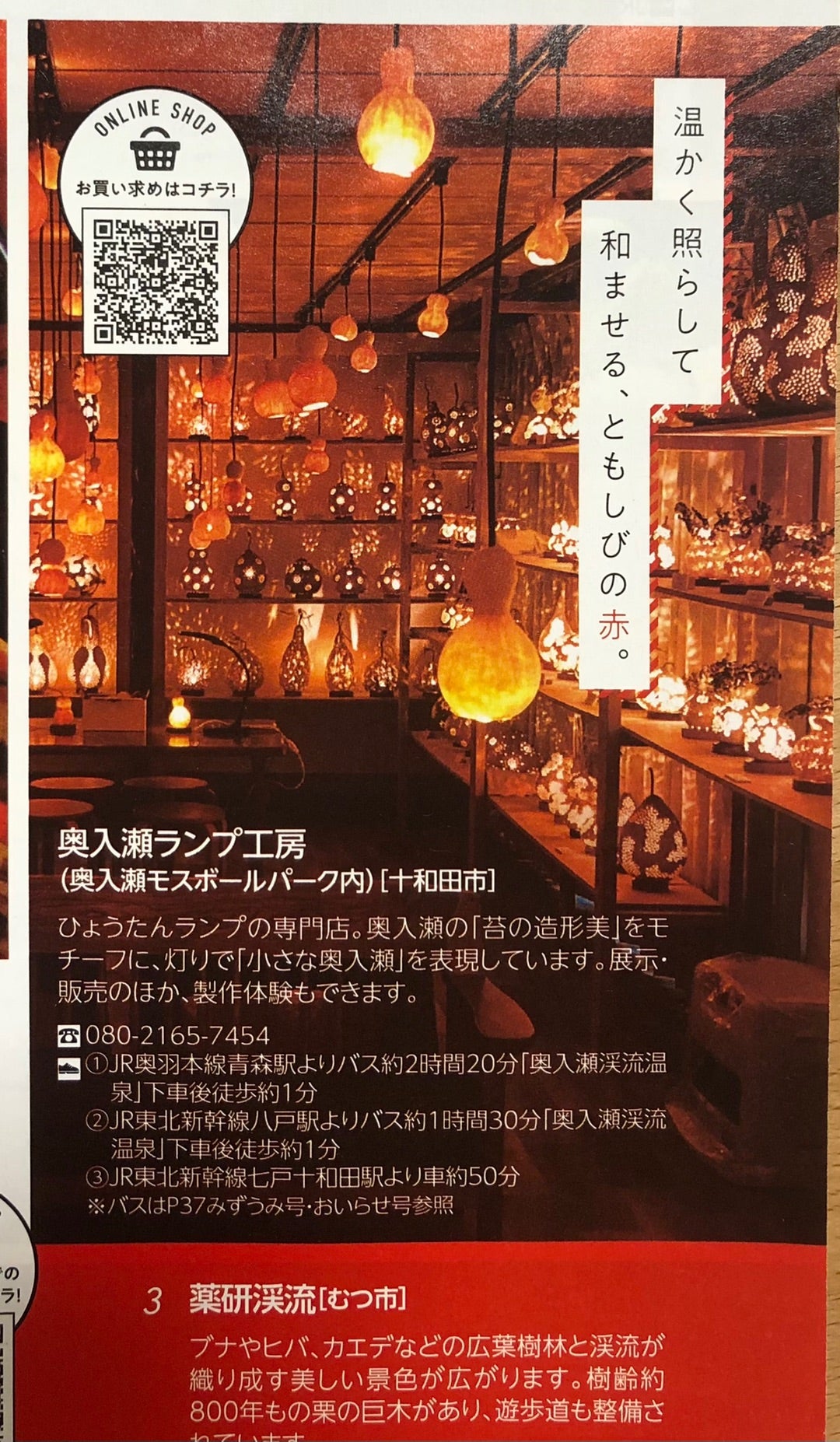 十和田湖に沈んだ軍用練習機、80年ぶり東京・立川に里帰りし公開：朝日新聞デジタル