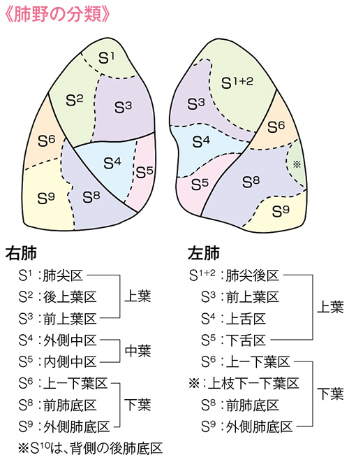 女の子がもっと気持ちよくなれるセックスの体位7選♡ 特徴やコツを解説！ | sweetweb.jp