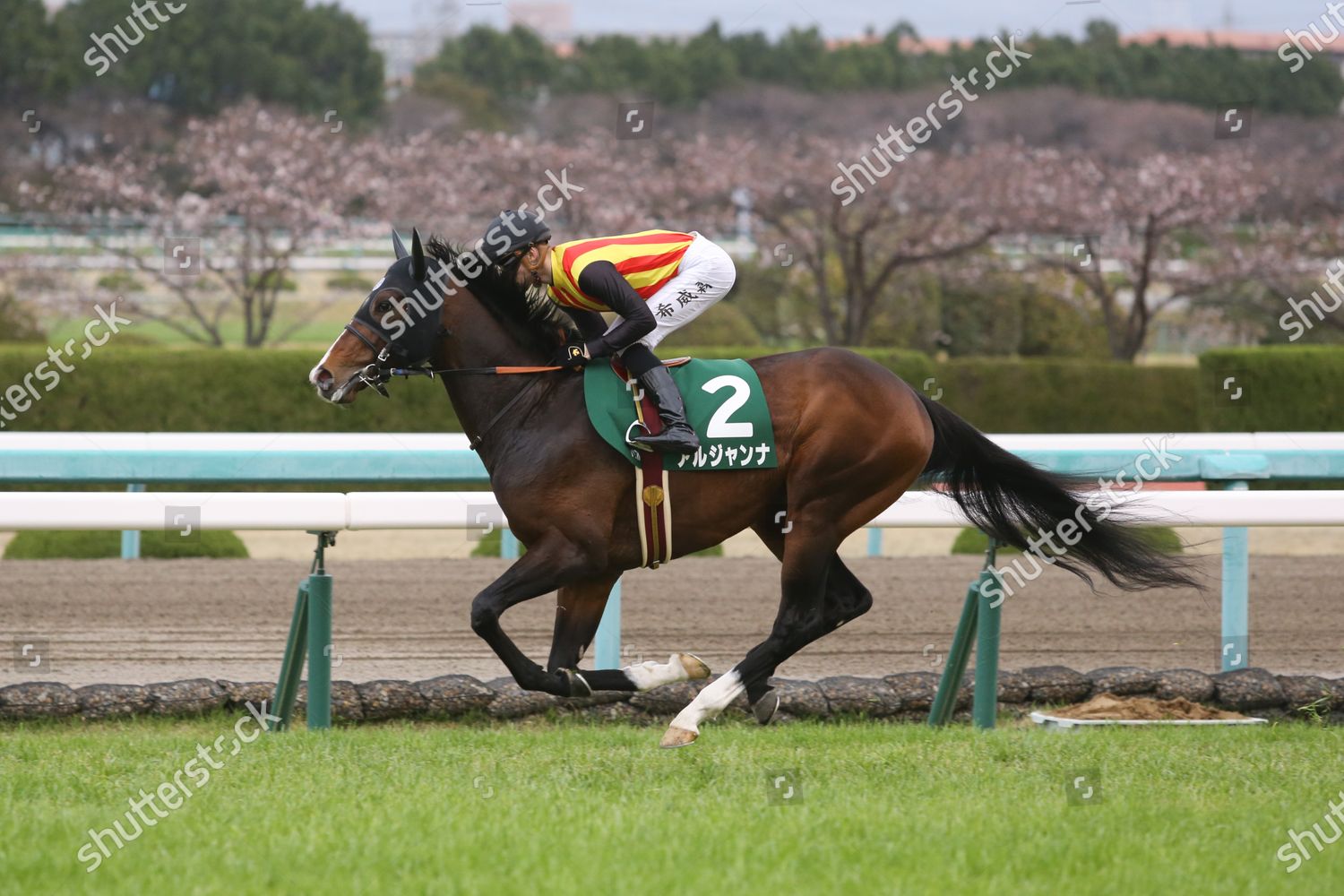 エプソムC】アルジャンナ 重賞初Vへ必勝仕上げ、新馬戦白星の弟に兄の威厳見せる― スポニチ Sponichi Annex