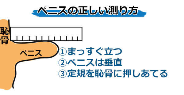 男性器のサイズで色分けした世界地図 - GIGAZINE