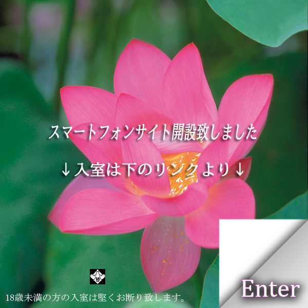 バックナンバー｜はい！テレビ朝日です｜テレビ朝日