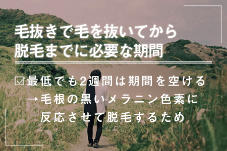 毛抜きでヒゲを抜くと生えなくなる？｜髭の自己処理方法の比較とヒゲをなくす方法 | エピステ