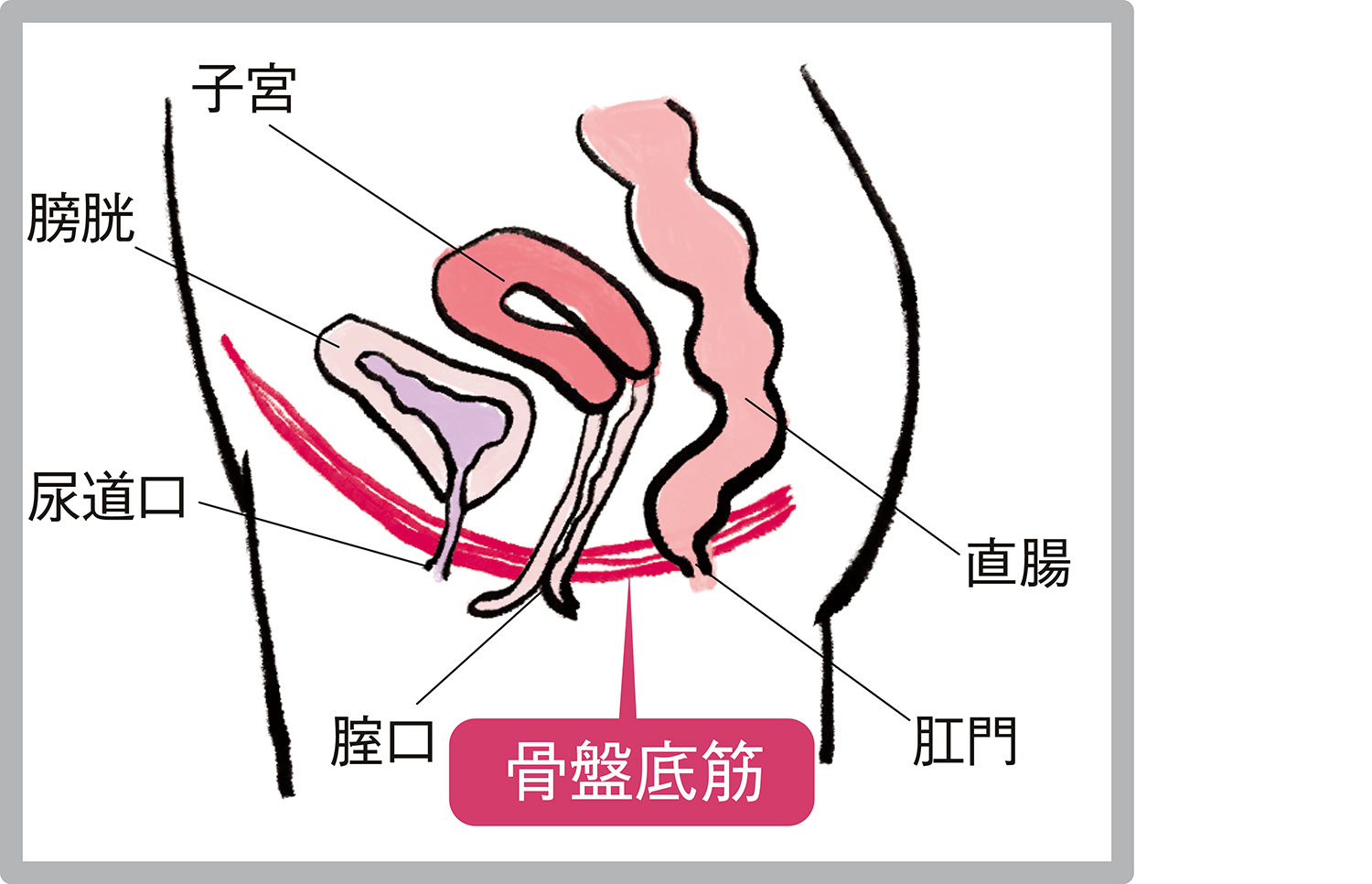 指入れてるときとか、行為中にたまに膣ナラ？をしてしまう時あるんですけど、これってなにか悪くて起きてるんですかね？ | Peing -質問箱-