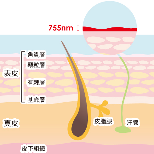 亀頭のぶつぶつや色の異常の原因と治療薬|天神マイケアクリニック