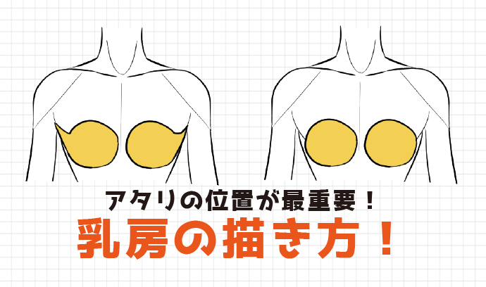 シリコンバック豊胸（人工乳腺・他院バック抜去入替）｜豊胸の名医まりこ先生施術対応可・ ベリンダクリニック【新宿院・岡山院】