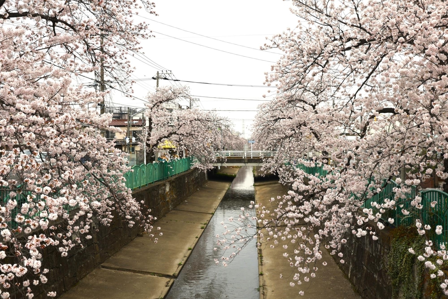 SUUMO】桜区中島２丁目貸家((株)クレオン西川口東口店提供)／埼玉県さいたま市桜区中島２／南与野駅の賃貸・部屋探し情報（100368394539）  |