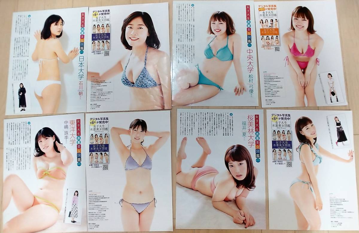 駿河屋 -【アダルト】<中古><<その他アイドル>> 巨乳美女・大図鑑（その他）