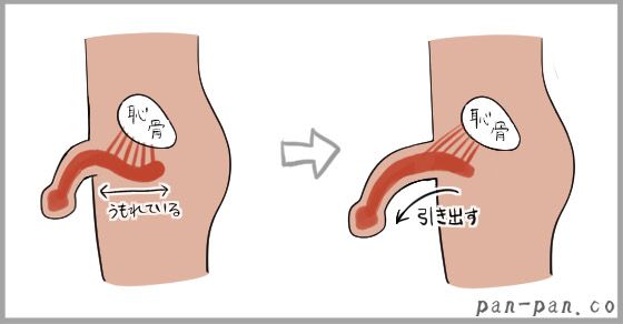 ペニスを大きくしたい！ペニス増大する方法 - 夜の保健室