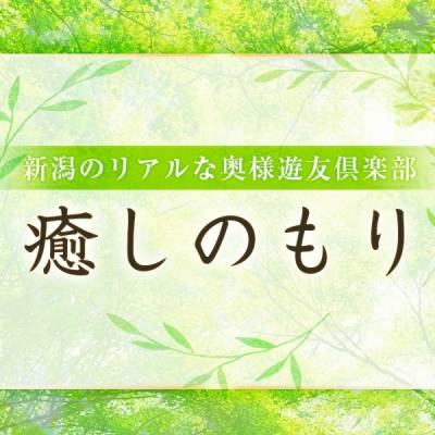 トップページ |駅待ち合わせ型人妻デリヘル 奥様特急 新潟店