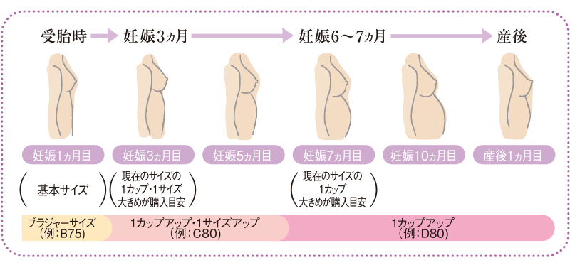 この写真で見ると明らかにDカップあたりあるのですが、測ってみ - Yahoo!知恵袋