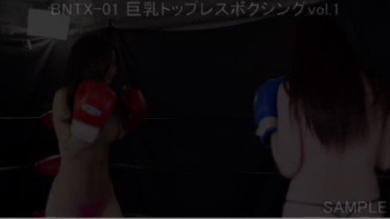 駿河屋 - 【買取】女子プロレス巨乳トップレスファイト外伝