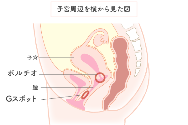 性の専門家が回答］「セックスでイク」感覚がイマイチわからない…イクってどういう感覚なの？ - LOCARI（ロカリ）