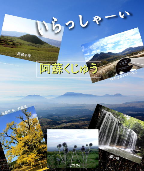 熊本県庁前グリーンホテル 宿泊予約【楽天トラベル】