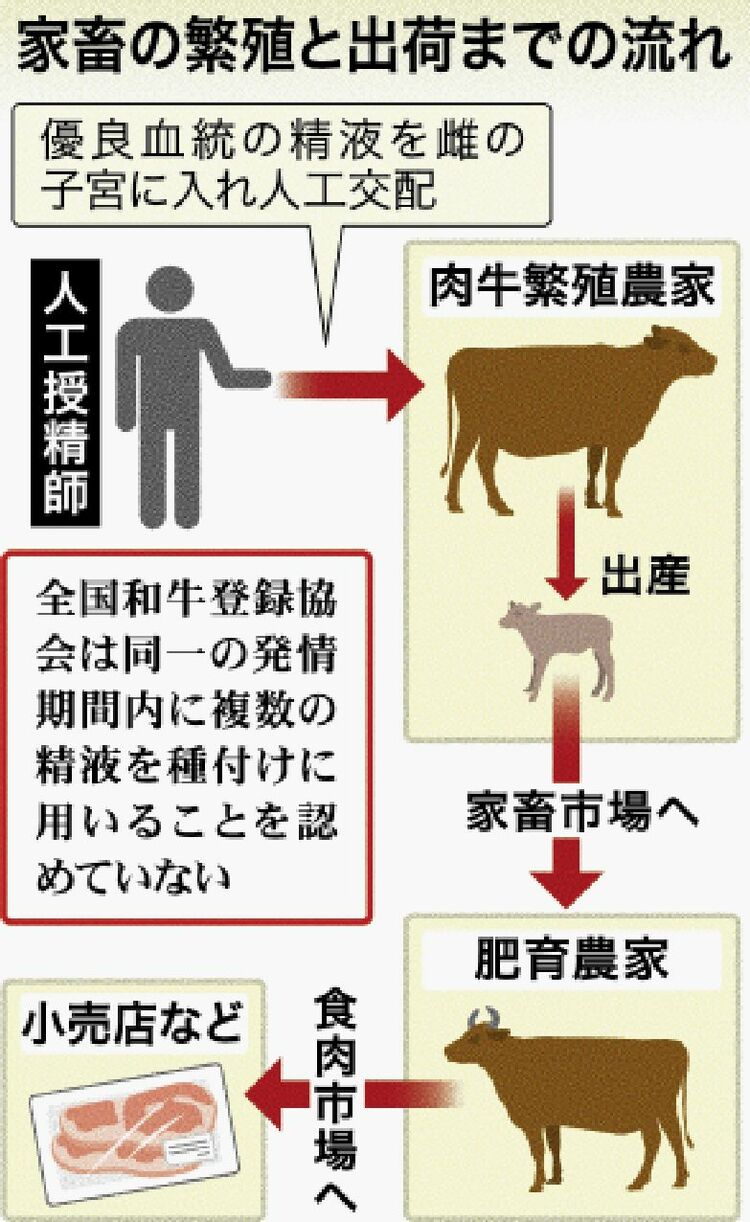 三谷温泉 ホテル三河 海陽閣 ペット宿泊情報