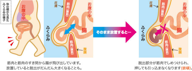 公式】シーンズ京都四条烏丸｜「四条」駅徒歩8分、四条烏丸生活圏｜大阪ガス都市開発がお届けする新築分譲マンション