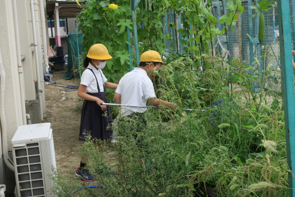 関西ジャニーズJr.なにわ男子の冠番組オンエア、“先輩レジェンド”に大倉忠義（コメントあり） - 音楽ナタリー