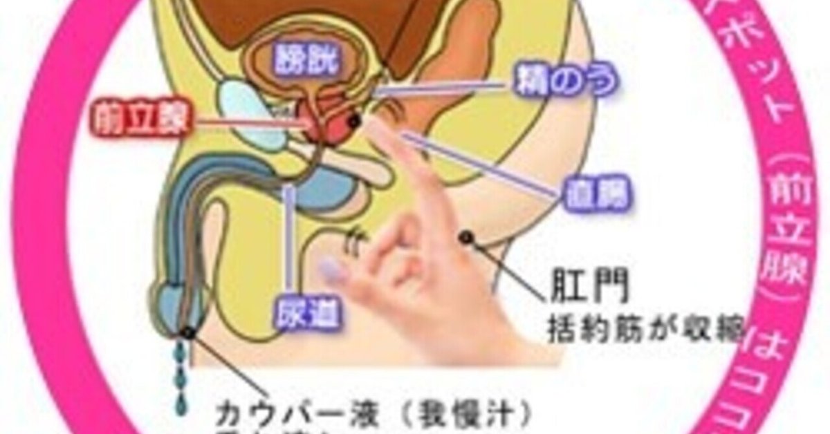 ドライオーガズム解体新書 高品質