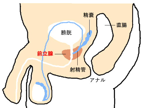 風俗嬢が解説】ルーインドオーガズムとは？やり方やコツ・覚えるメリットも紹介｜ココミル