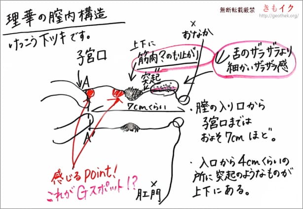 膣の入り口が痒い腫れてるに関する医師への質問137件 - 日本最大級／医師に相談できるQ&Aサイト アスクドクターズ