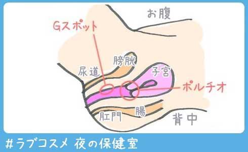 アナル刺激した方が気持ちいいことに気付けばアナル遊びは習慣化できる | アネドラ