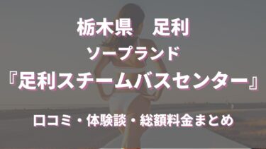 第83話・プロ失格の結果】栃木足利にある足利スチームバスに潜入レポ。28歳底辺サラリーマンがyoutuberとなりレポで成り上がるドキュメント。 -  YouTube