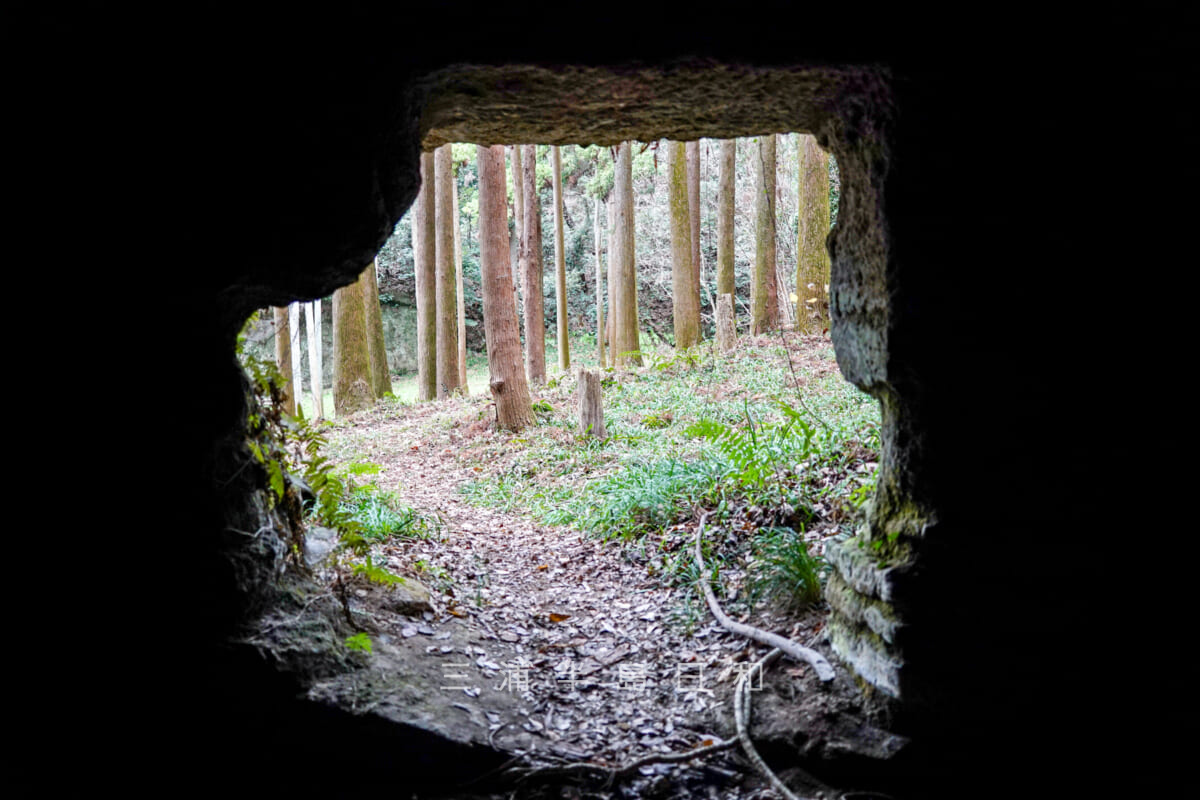 天園ハイキングコース(建長寺回春院（地獄谷）から 天園ハイキングコースへ) 鎌倉