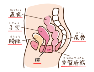 男性も濡れる…！？つい滲み出る瞬間・女性に及ぼす影響とは…！？ | リア女ニュース