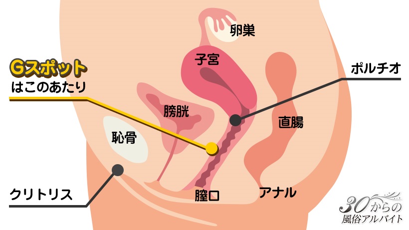 ニュースネタ・下ネタ】潮噴きパート２ | しろくま・まちゃるＷＯＲＬＤ！