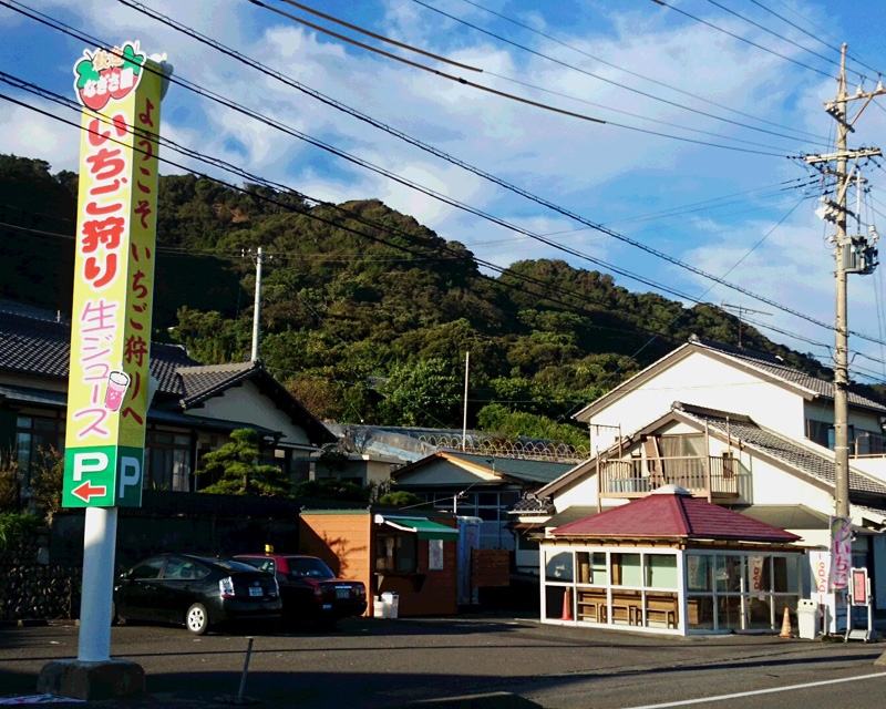 中古】鉄道むすめ 清水なぎさ 十和田観光電鉄 りんごジュースアキカン TOMYTEC