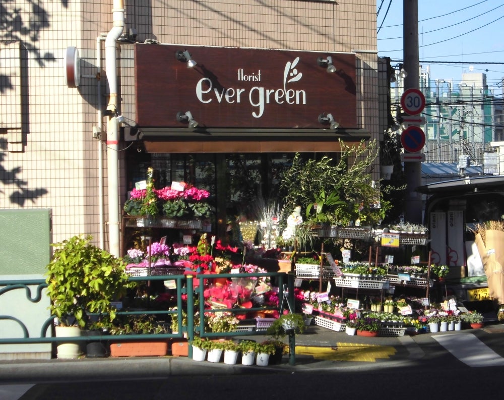 エバーグリーンノムラ(新宿区余丁町)の建物情報｜住まいインデックス