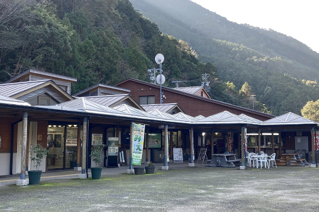 星組｜北勢 四日市 キャンパブ｜夜遊びガイド三重版