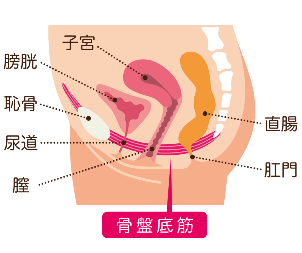 読者体験告白手記（72）淫乱人妻 アソコの締まりを確かめられての電子書籍 -