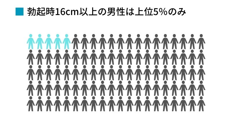 ペニスの平均サイズ | ネットのくすり屋さんコラム