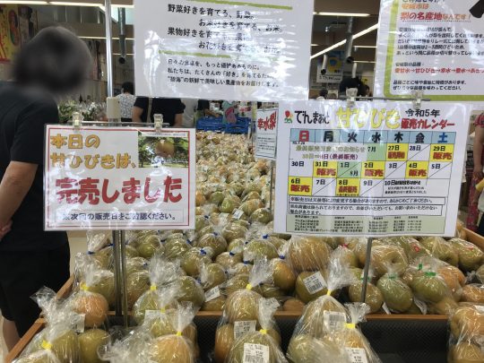 でんまぁと安城西部第4ライブカメラ(愛知県安城市福釜町) | ライブカメラDB