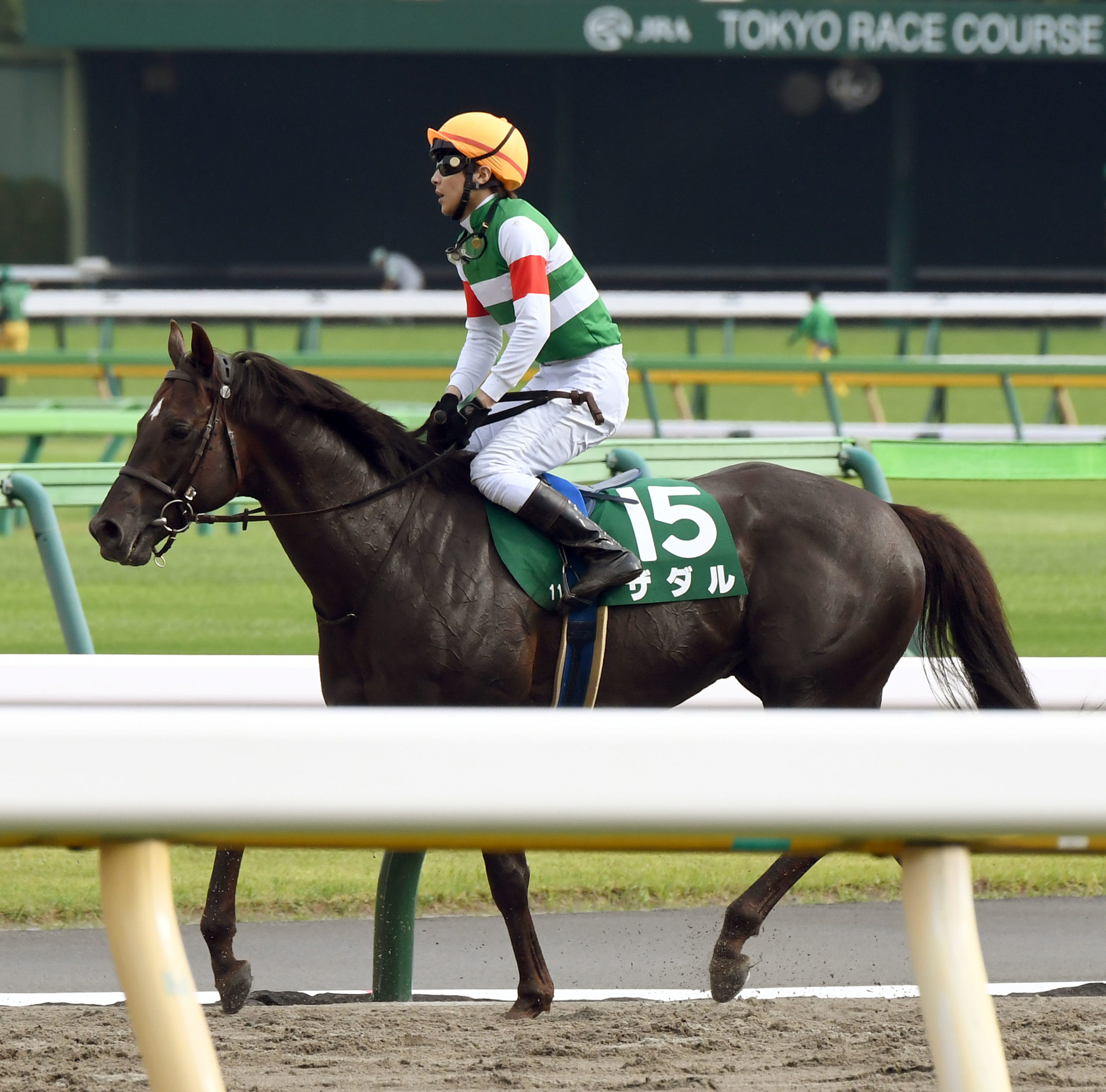 アルジャンナ2017年産 - 競走馬データTOP｜競馬予想のウマニティ