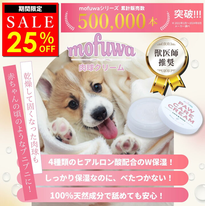 千葉県のチワックス(チワワ×ダックス)の子犬を価格や特徴で探す|ペットショップ探すならpetmi