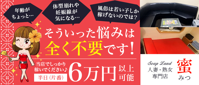 ソープランドでボーイをしていました/玉井次郎 : bk-4883929736 :