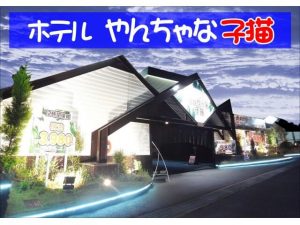 クチコミ : メンデルの法則 - 寝屋川市池田中町/ホテル