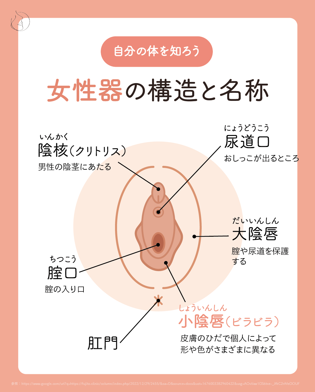 女性が感じる仕組みとは？オーガズムとスキーン腺の関係について解説 | コラム一覧｜ 東京の婦人科形成・小陰唇縮小・婦人科形成（女性