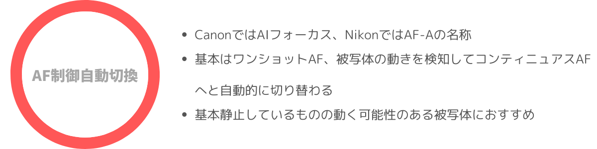 NO MORE 写真炎上！『アサヒカメラ』で肖像権・著作権などを発表方法別に徹底審査