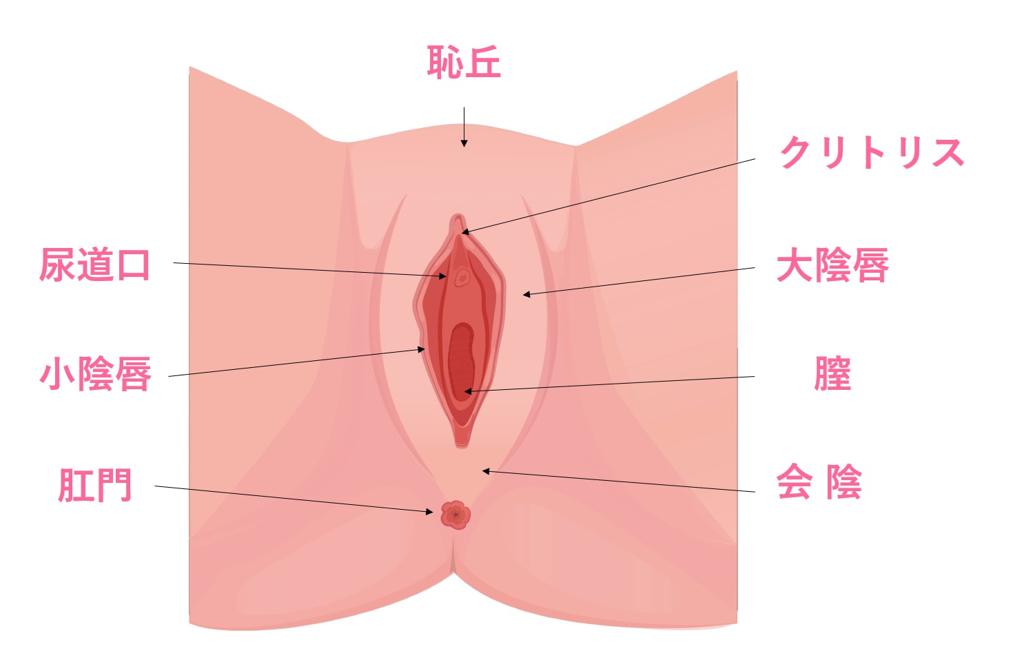 膀胱尿管逆流症 (ぼうこうにょうかんぎゃくりゅうしょう)とは |