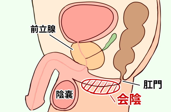 亀頭フェラのやり方とは？亀頭責めの舐め方のコツや体験談をご紹介！