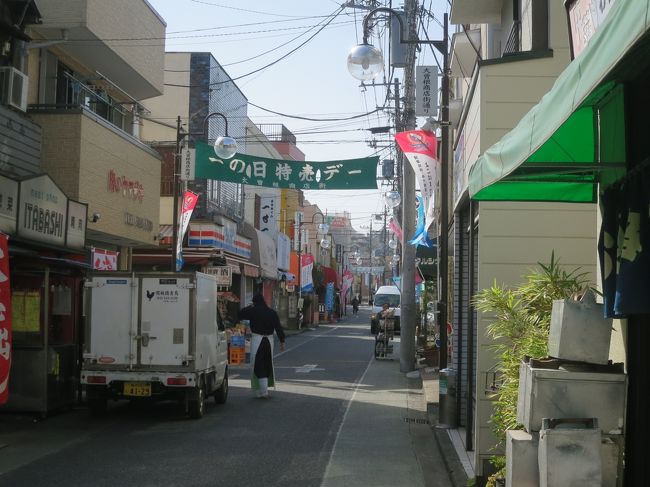 色とりどりの花や緑が素敵な【守山センチュリーゲート】の植裁や外構デザインについて担当者様にお聞きしました！ | 