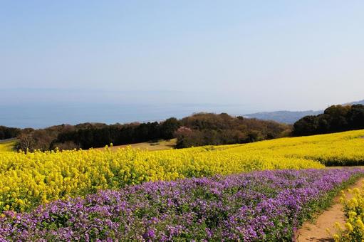 トップページ - 神奈川県立花と緑のふれあいセンター 花菜ガーデン