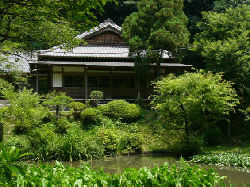 回春院(静岡県静岡市)の永代供養墓・樹木葬・納骨堂・お墓・墓じまいの費用・評判と見学予約